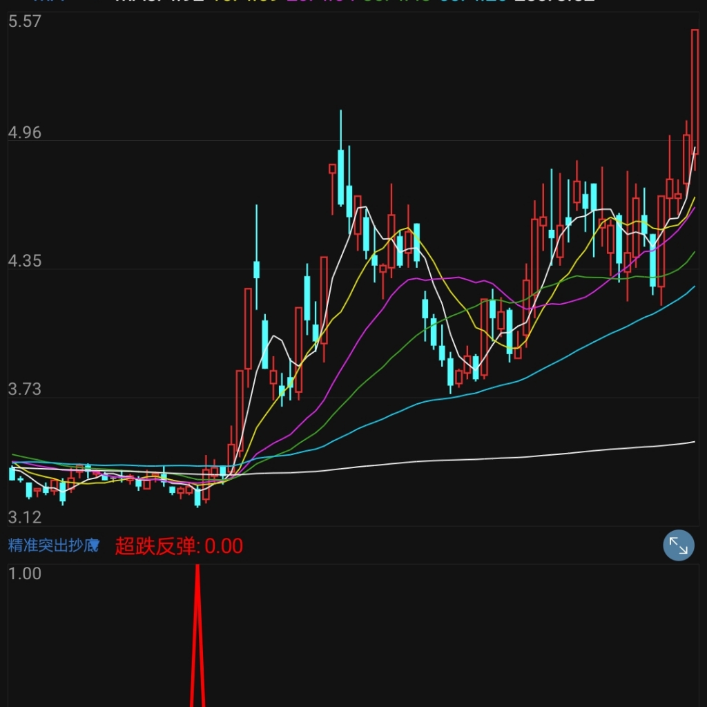 随你飞