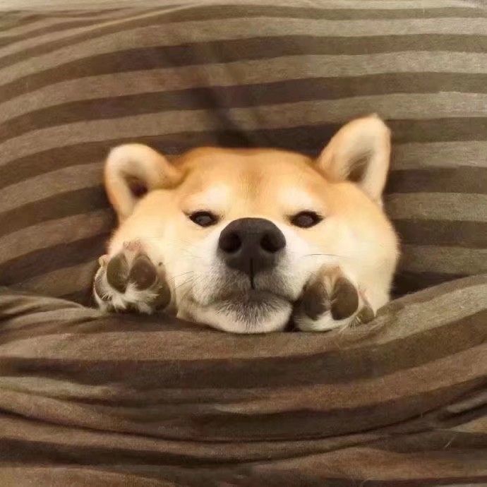 为之颤抖吧